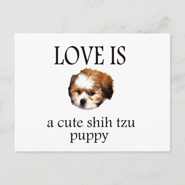Postal Shih Tzu Puppy (Anverso)