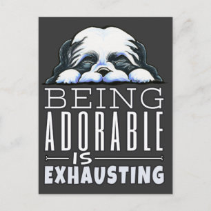 Postal Shih Tzu Ser Adorable