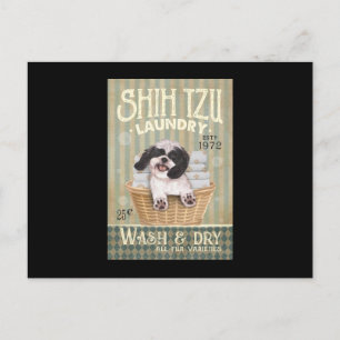 Postal Shih Tzu Tzu Lavandería Cute Shih Tzu Life Puppy T