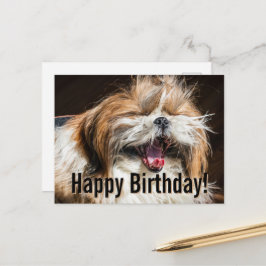 Postal Shih tzu yawning laughing funny Happy birthday 