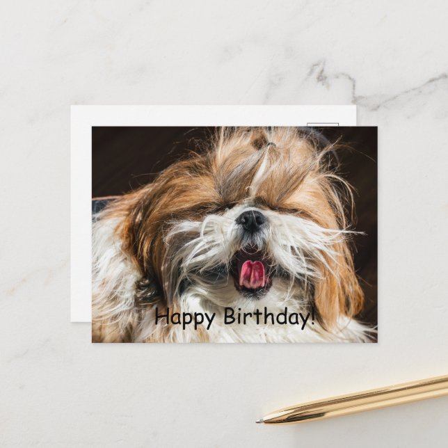 Postal Shih tzu yawning lengua graciosa Feliz cumpleaños (Anverso/Reverso In Situ)