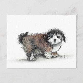 Postal Shihtzu Cuppy Dog, Mascota