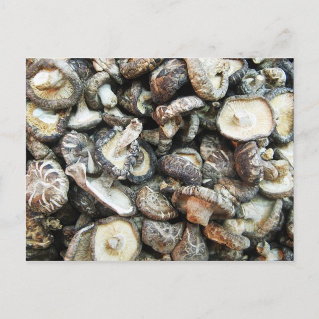 Postal Shiitake Mushrooms (Anverso)
