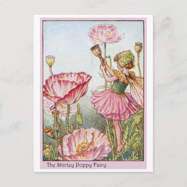 Postal Shirley Poppy Fairy (Anverso)