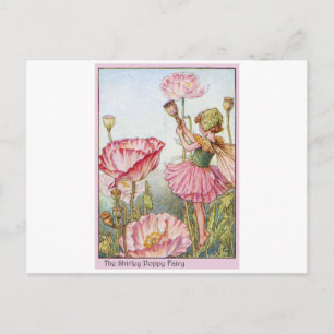 Postal Shirley Poppy Fairy