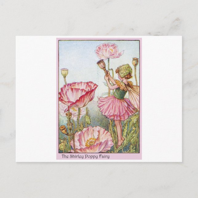 Postal Shirley Poppy Fairy (Anverso)
