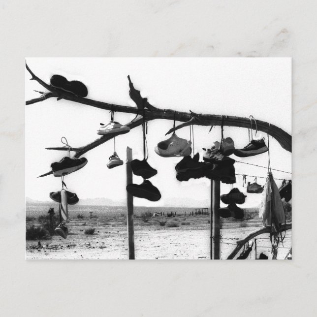 Postal Shoe Store (Anverso)