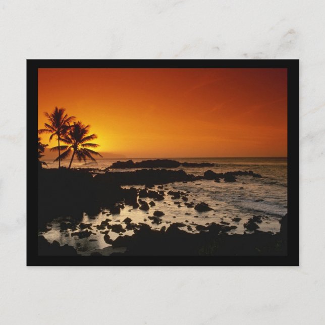 Postal Shore Oahu Hawaii (Anverso)