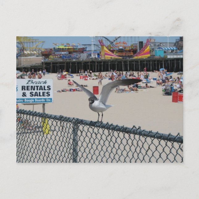 Postal Shore Thing (Anverso)