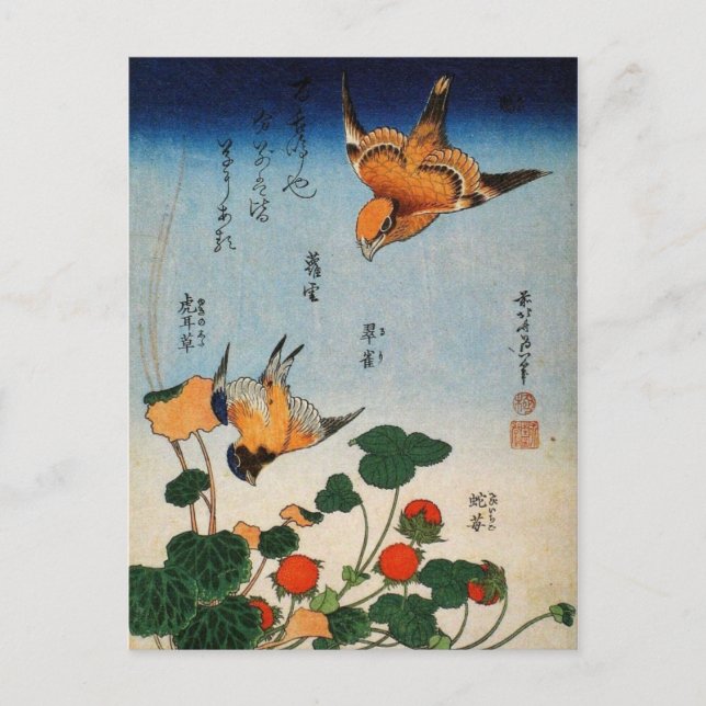 Postal Shrike, Jay, Saxifrage y Strawberry (por Hokusai) (Anverso)