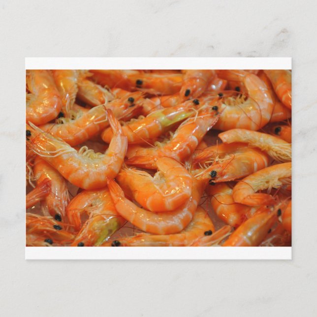 Postal Shrimp Prawns (Anverso)