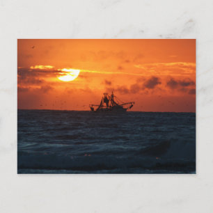 Postal Shrimper
