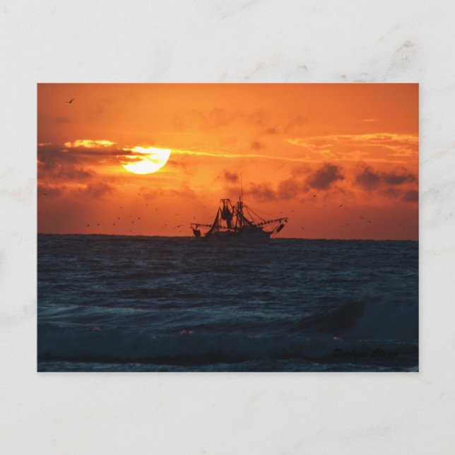 Postal Shrimper (Anverso)