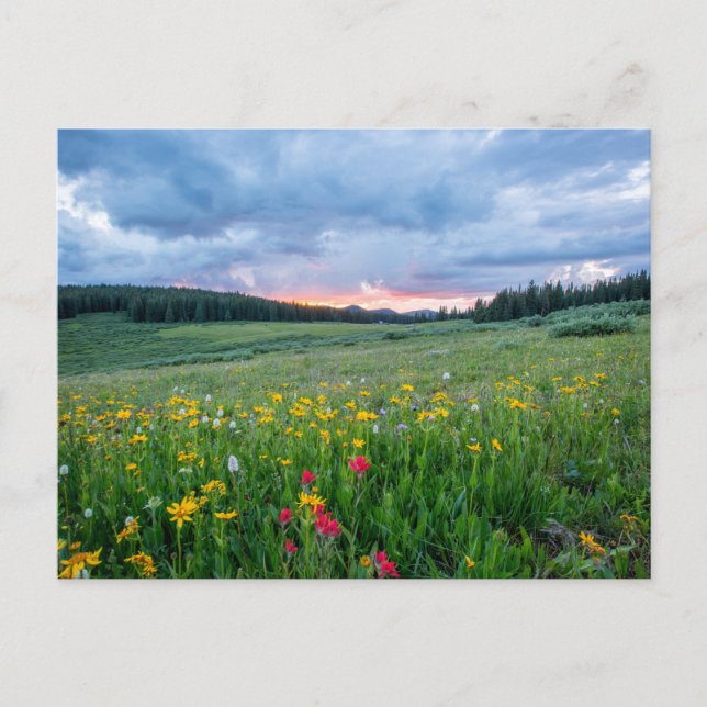 Postal Shrine Pass Road, Red Cliff, Estados Unidos (Anverso)