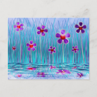 Postal Shy Daisies Postcard