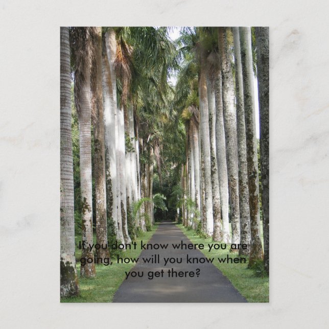 Postal Si no sabes a dónde vas... (Anverso)