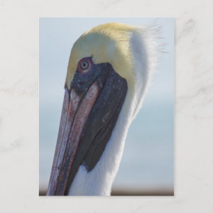 Postal Sí, soy guapa