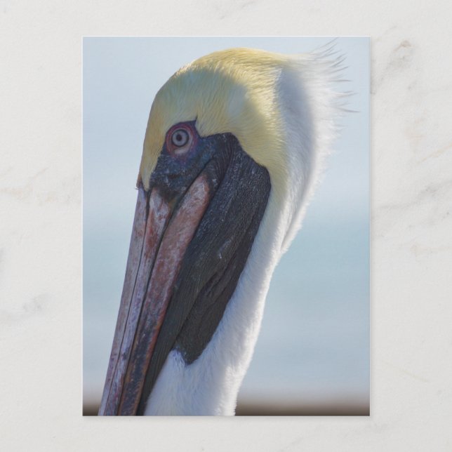 Postal Sí, soy guapa (Anverso)