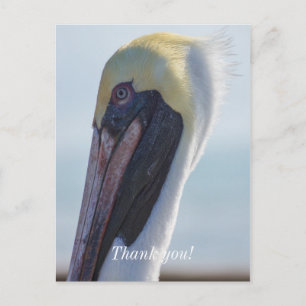 Postal Sí, soy hermoso