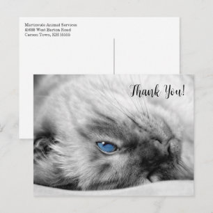 Postal Siamese Blue Eyed Cat Thank You