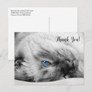 Postal Siamese Blue Eyed Cat Thank You