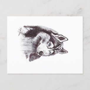 POSTAL SIBERIAN HUSKY