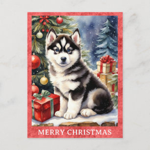 Postal Siberian Husky Merry Christmas Cupy Perro Perro Po