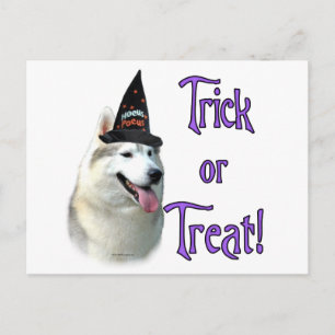 Postal Siberian Husky Trick