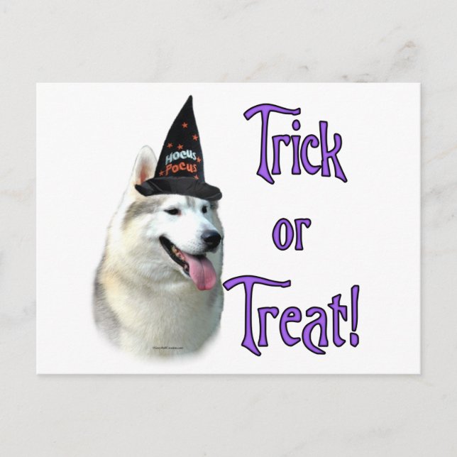 Postal Siberian Husky Trick (Anverso)