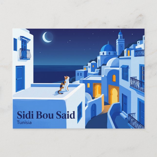 Postal Sidi Bou Said Túnez (Anverso)