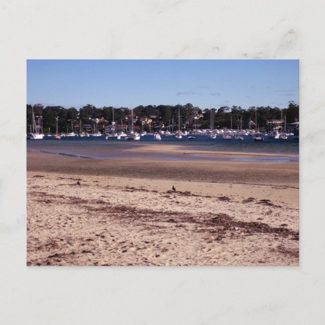 Postal Sídney Australia Fotografía de Viajes Originales (Anverso)