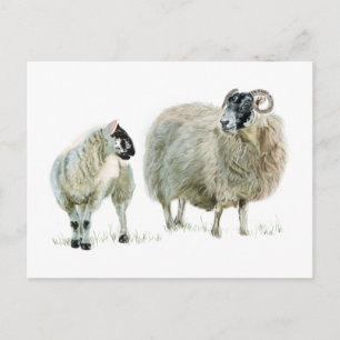 Postal ¡Siempre escuchen a su Maaaa!