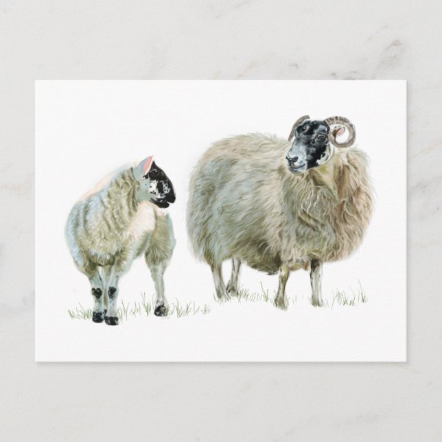 Postal ¡Siempre escuchen a su Maaaa! (Anverso)