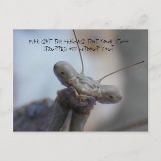 Postal Siempre tienes la sensación de que tus cosas...