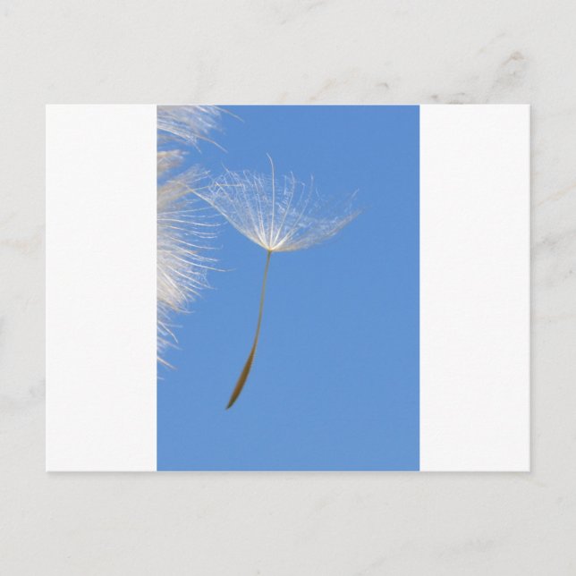 Postal Siéntete libre (Anverso)