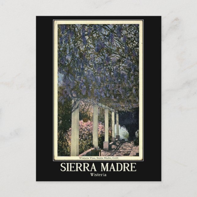 Postal Sierra Madre, California, Vintage (Anverso)