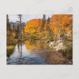 Postal Sierra Oriental, Bishop Creek, California Outlet