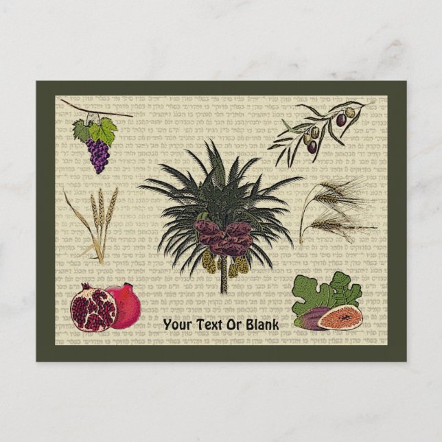 Postal Siete especies (Anverso)