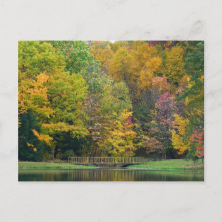Postal Siete Springs Fall Bridge II Paisaje de Otoño