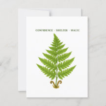 Significado de fern