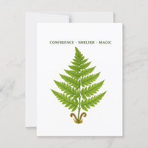 Postal Significado de fern