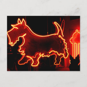 Postal Signo de neón de la ruta 66