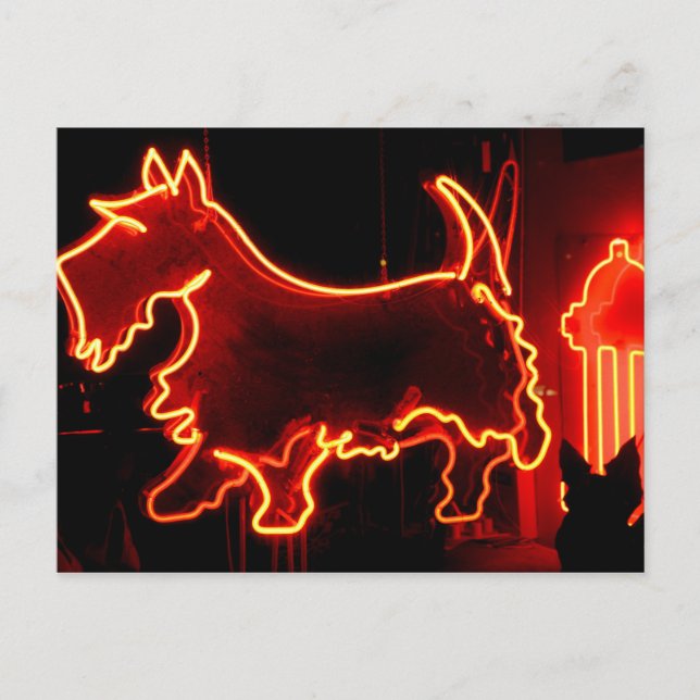 Postal Signo de neón de la ruta 66 (Anverso)