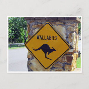 Postal signo de wallabies
