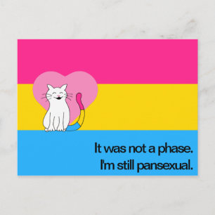 Postal Sigo siendo un gato pansexual con bandera pansexua