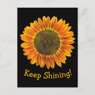 Postal Sigue brillando el girasol amarillo y Naranja en n