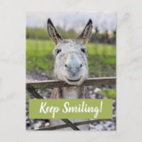Postal "Sigue sonriendo" de burro sonriente