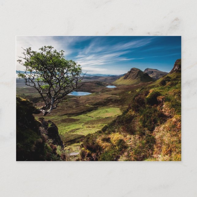 Postal ¡Sigue tus sueños! (Anverso)