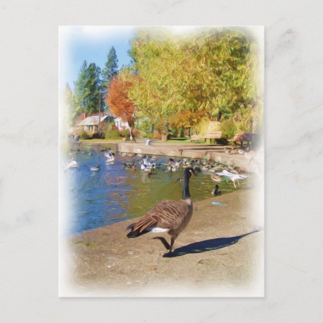 Postal Sígueme (Anverso)