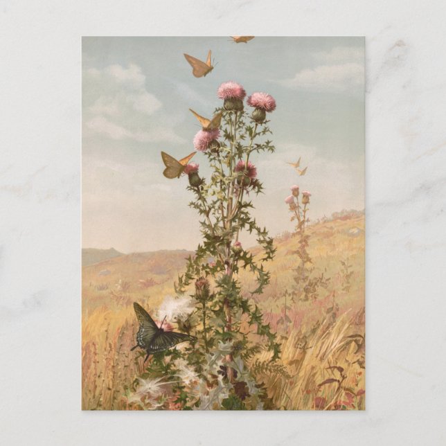 Postal Silbato | Fidelia Bridges (Anverso)